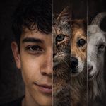Imagen de perfil