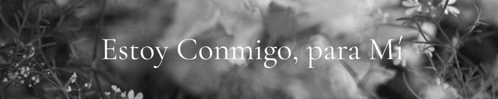 Imagen de portada