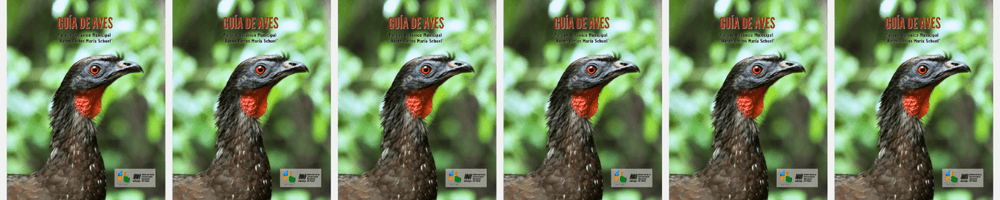 Imagen de portada