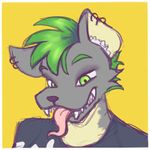 Imagen de perfil