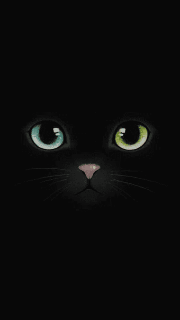 Imagen de portada