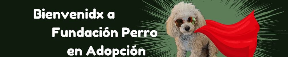 Imagen de portada