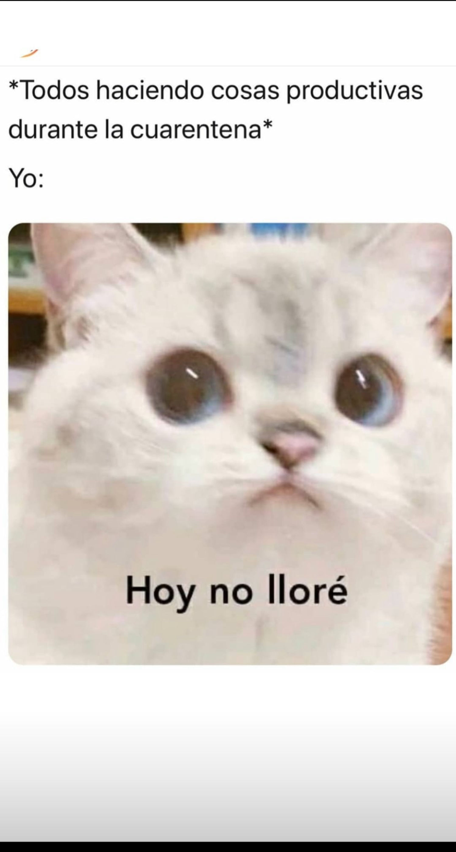 Imagen de portada