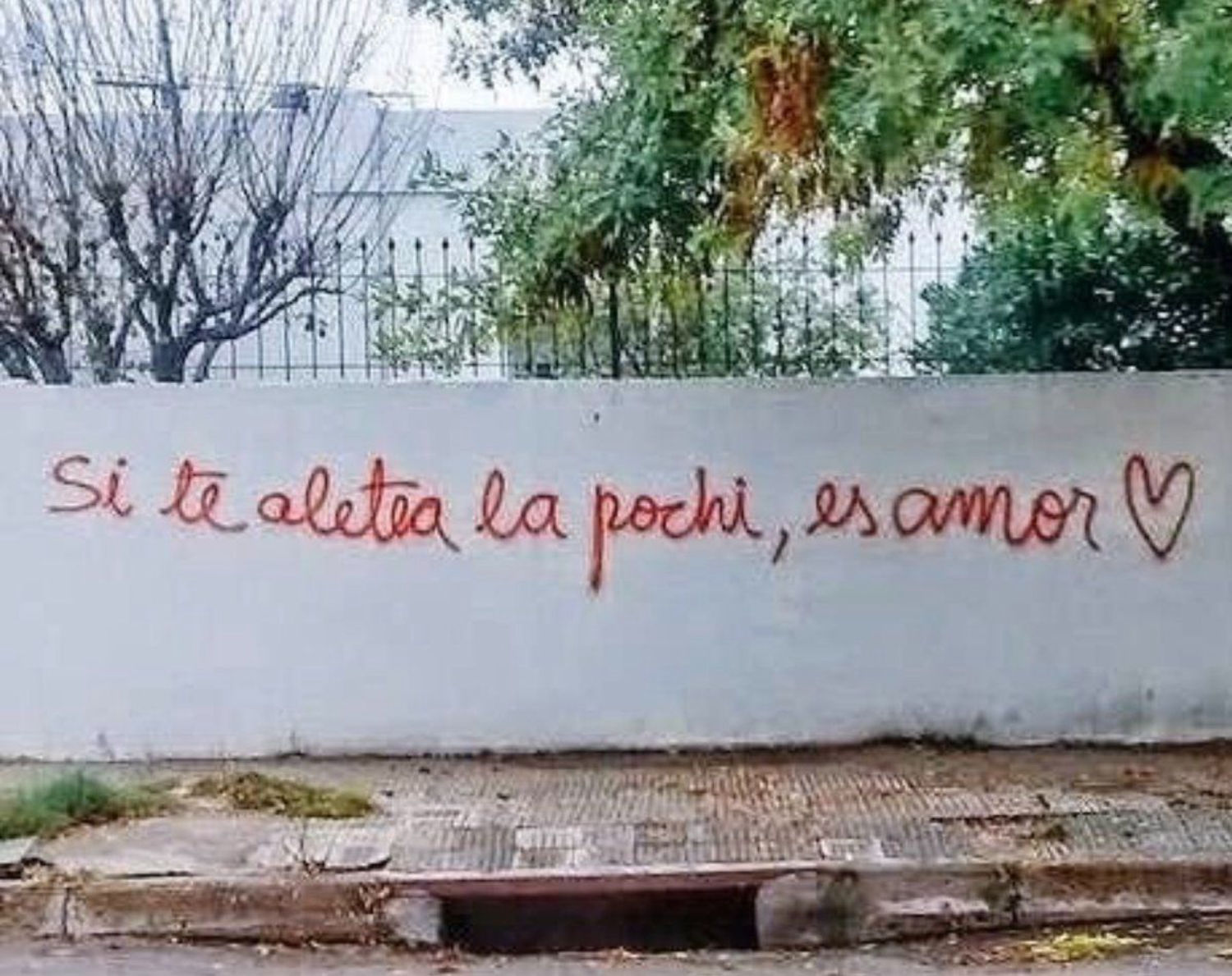 Imagen de portada