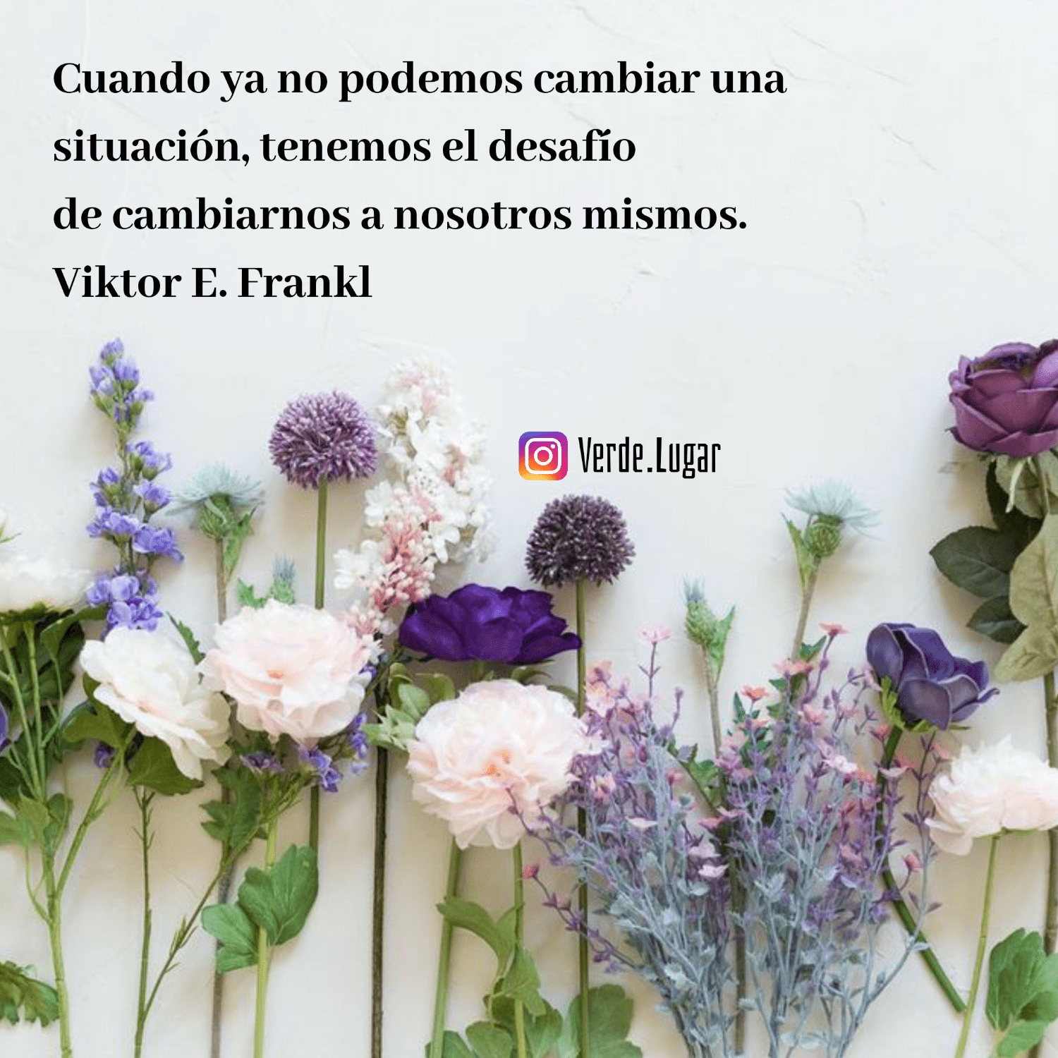 Imagen de portada