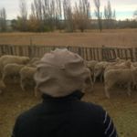 Imagen de perfil