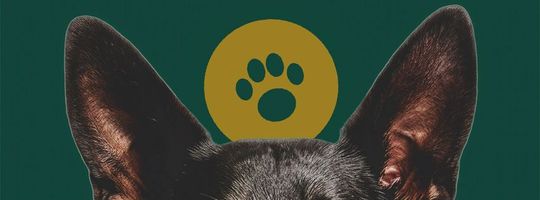 Imagen de portada