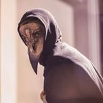 Imagen de perfil